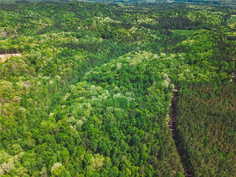 00 Hancock Mountain Trail Waleska, GA 30183