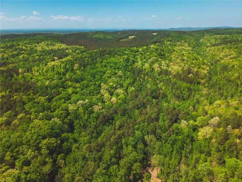 00 Hancock Mountain Trail Waleska, GA 30183