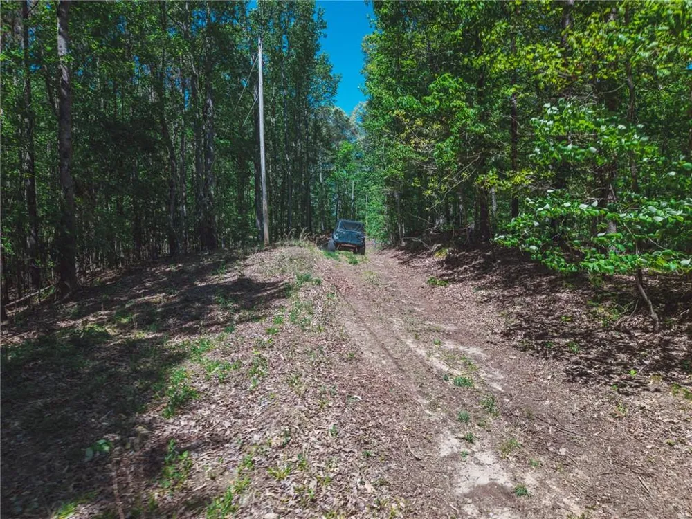 00 Hancock Mountain Trail Waleska, GA 30183