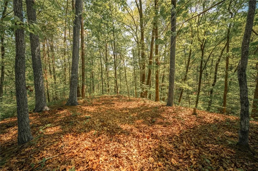 00 Hancock Mountain Trail Waleska, GA 30183