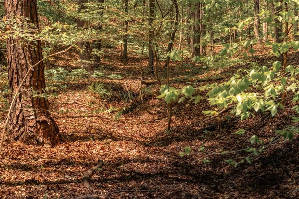 00 Hancock Mountain Trail Waleska, GA 30183