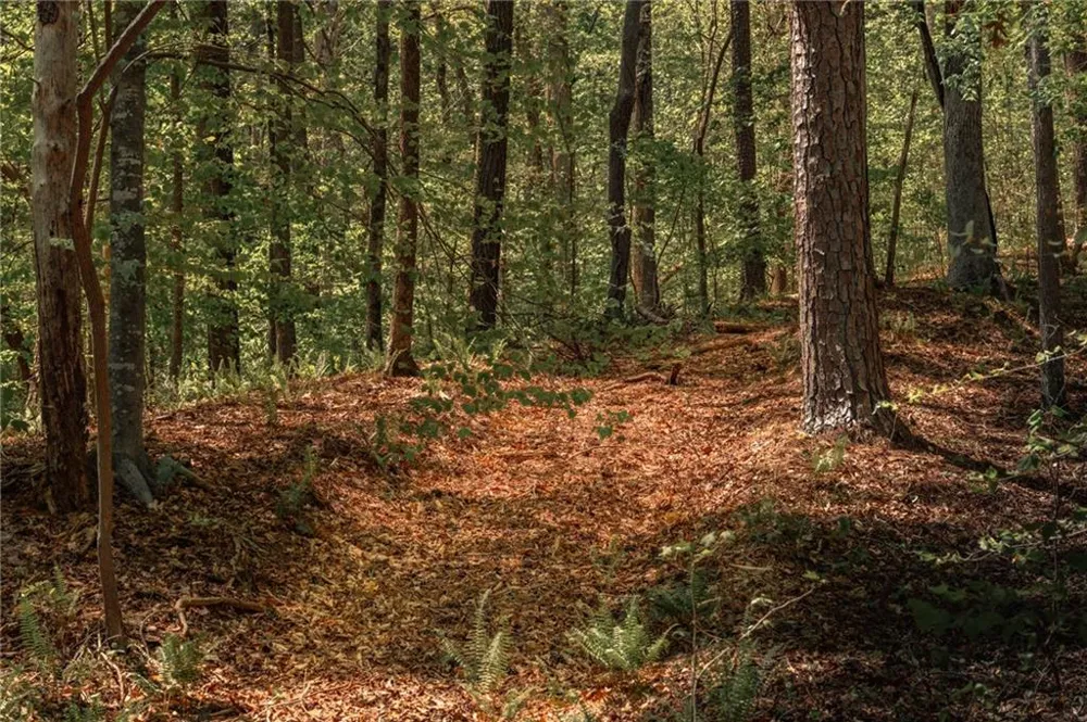 00 Hancock Mountain Trail Waleska, GA 30183