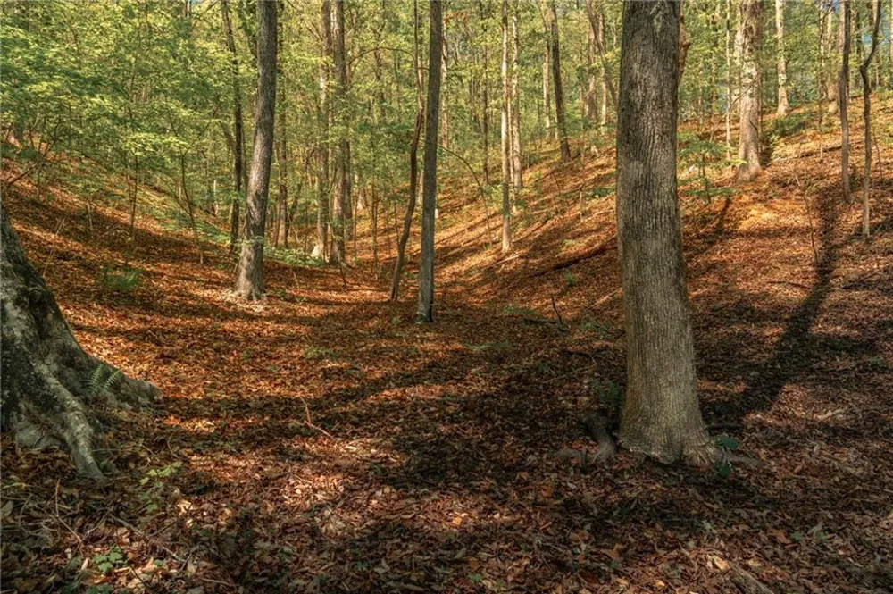 00 Hancock Mountain Trail Waleska, GA 30183