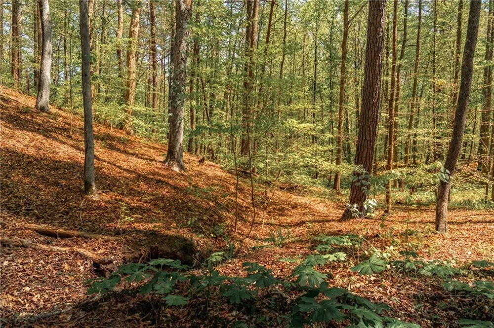00 Hancock Mountain Trail Waleska, GA 30183