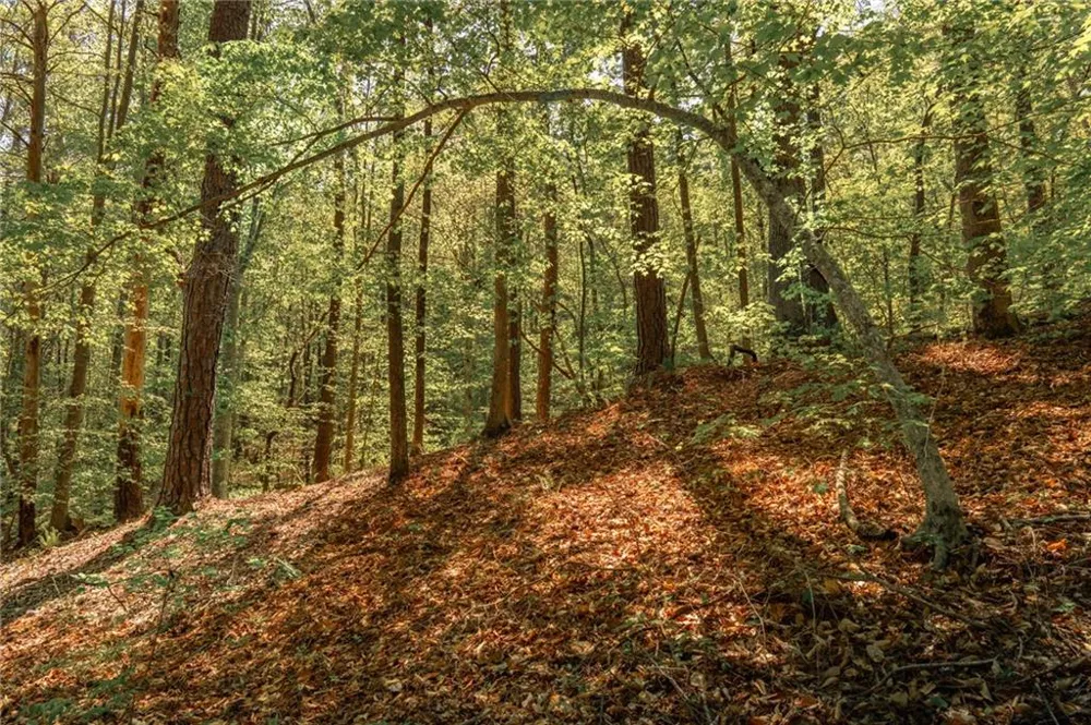 00 Hancock Mountain Trail Waleska, GA 30183