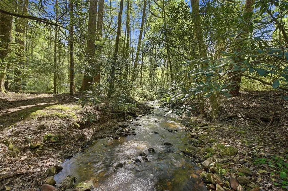 15 Salmon Road Blairsville, GA 30512