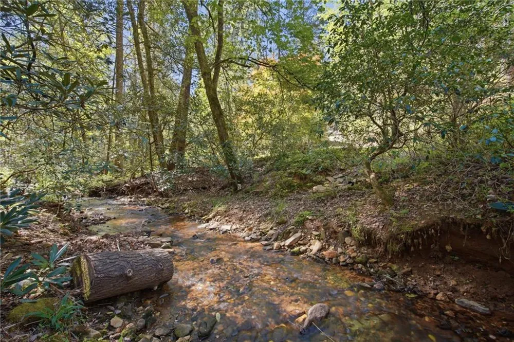 15 Salmon Road Blairsville, GA 30512