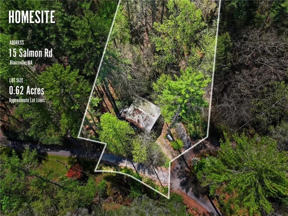 15 Salmon Road Blairsville, GA 30512