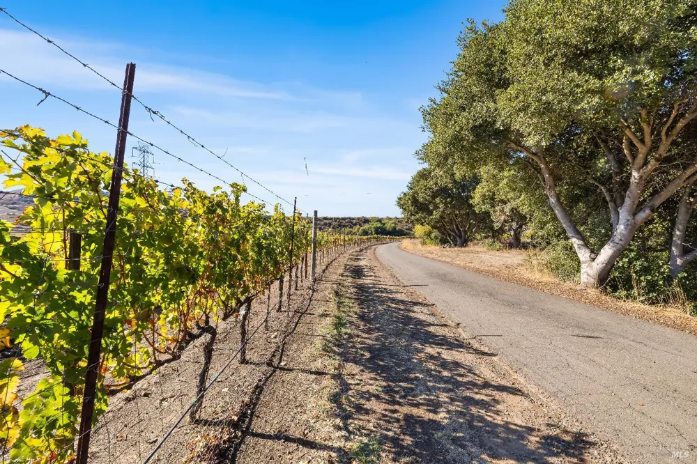 2000 Mcgary Road American Canyon, CA 94591