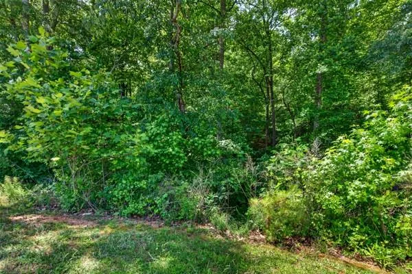 60 Wood Chuck Court Auburn, GA 30011
