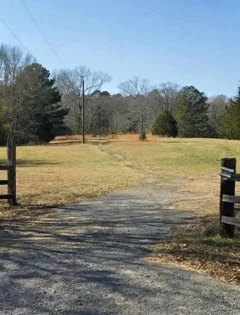 37 Davis Loop