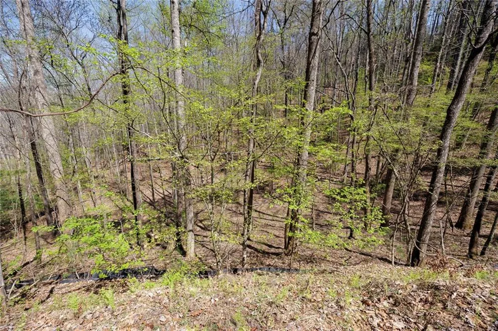 0 Laurel Trail Suches, GA 30572