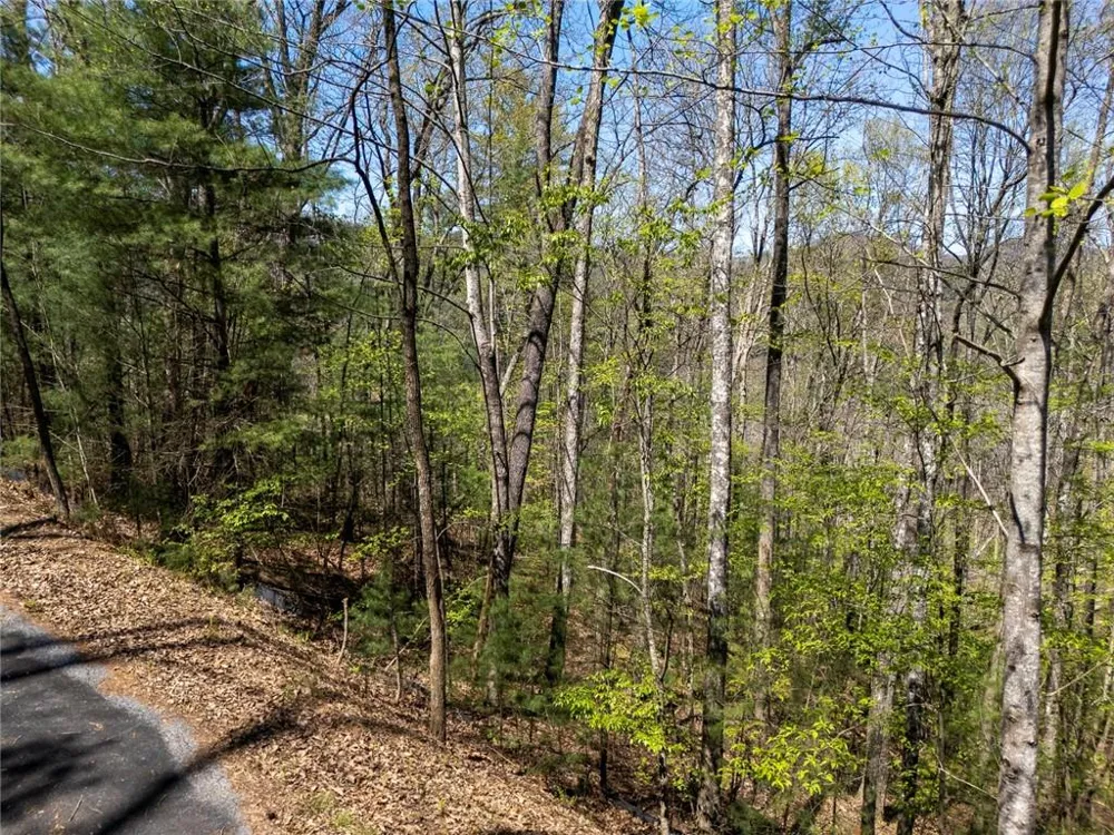 0 Laurel Trail Suches, GA 30572