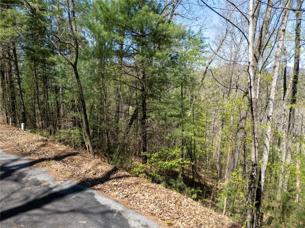 0 Laurel Trail Suches, GA 30572
