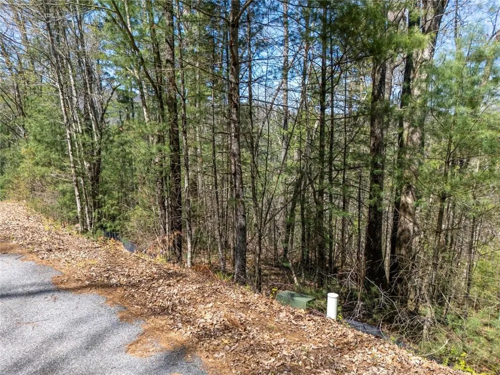 0 Laurel Trail Suches, GA 30572
