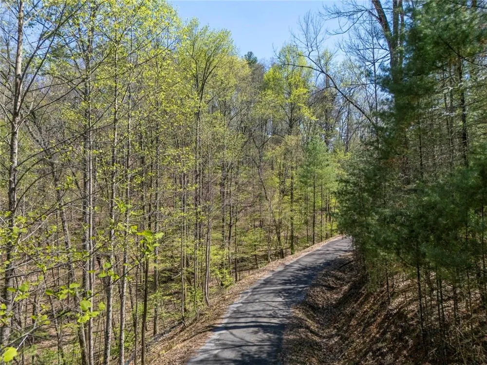 0 Laurel Trail Suches, GA 30572