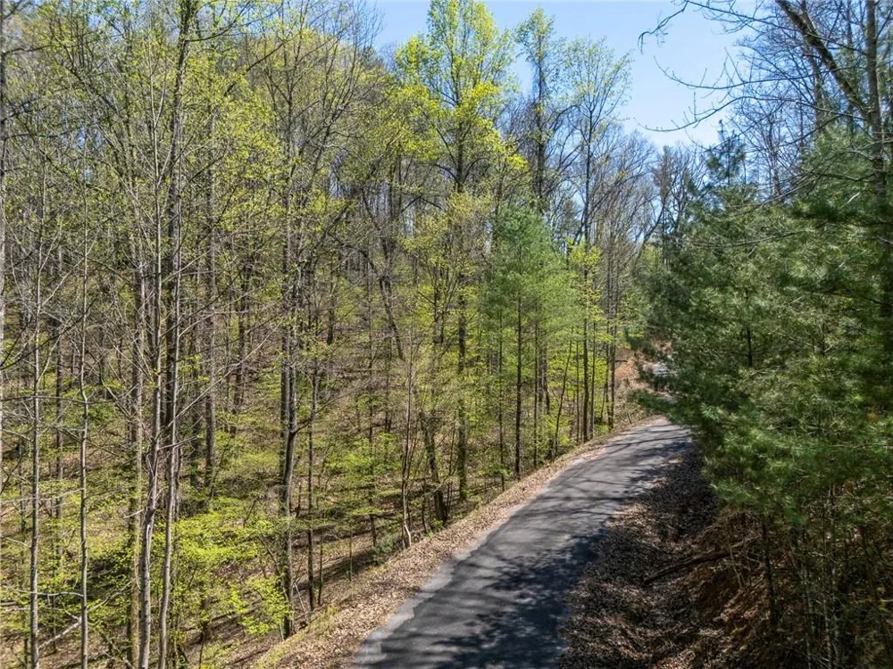 0 Laurel Trail Suches, GA 30572
