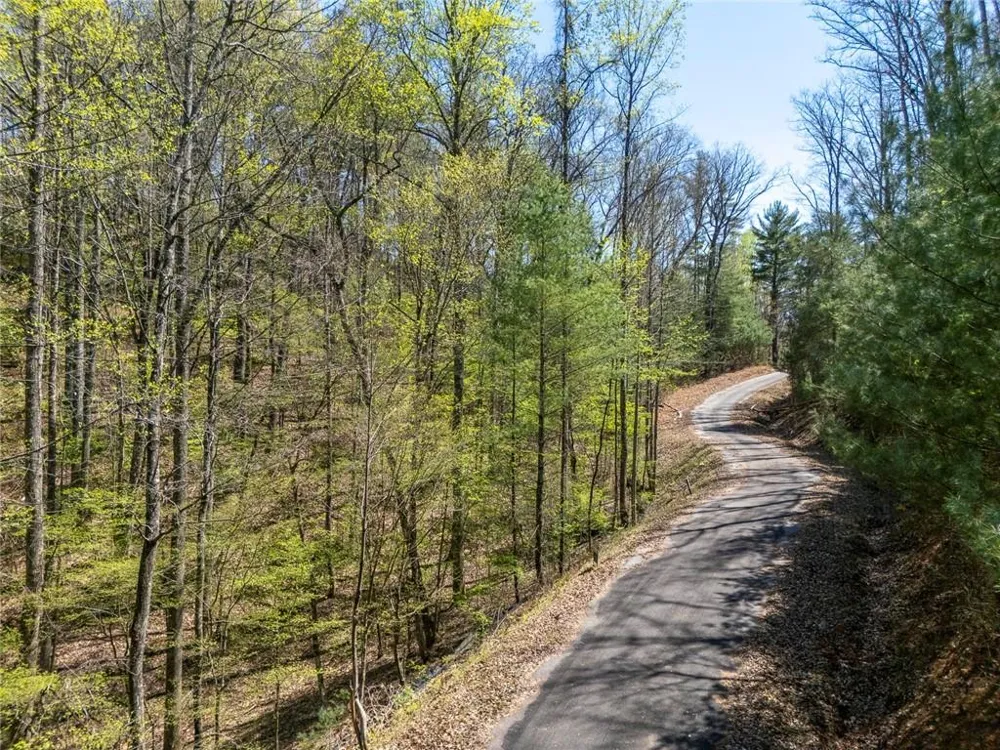 0 Laurel Trail Suches, GA 30572
