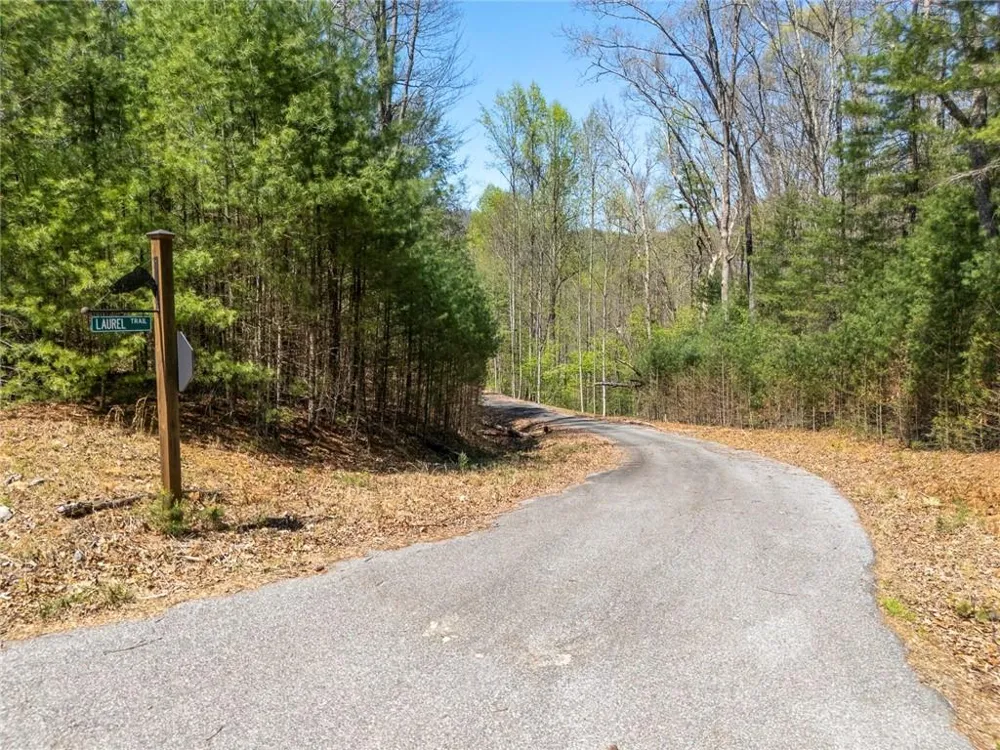 0 Laurel Trail Suches, GA 30572