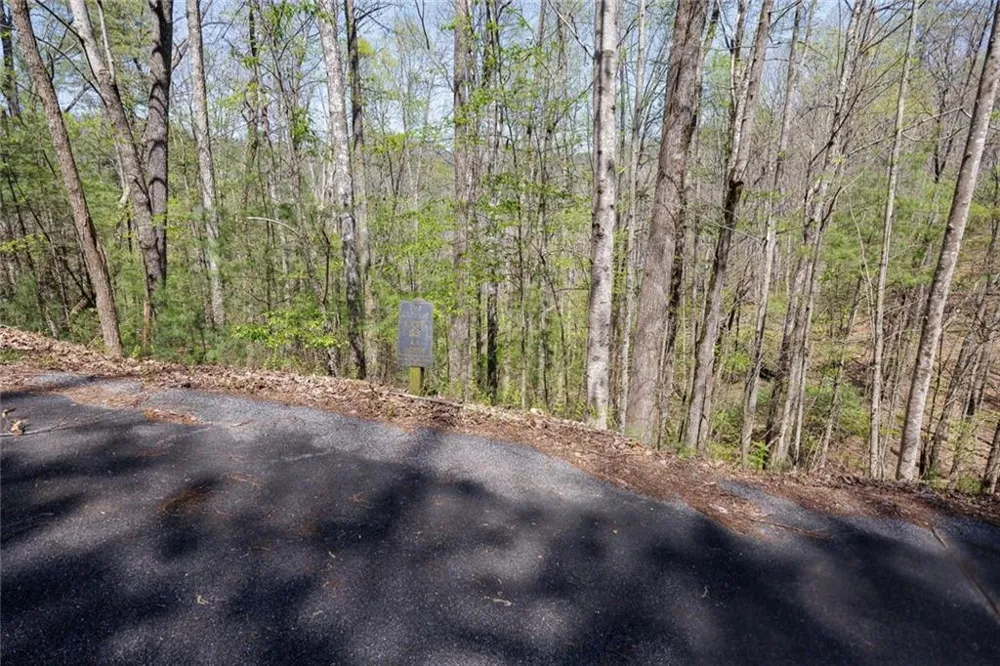 0 Laurel Trail Suches, GA 30572