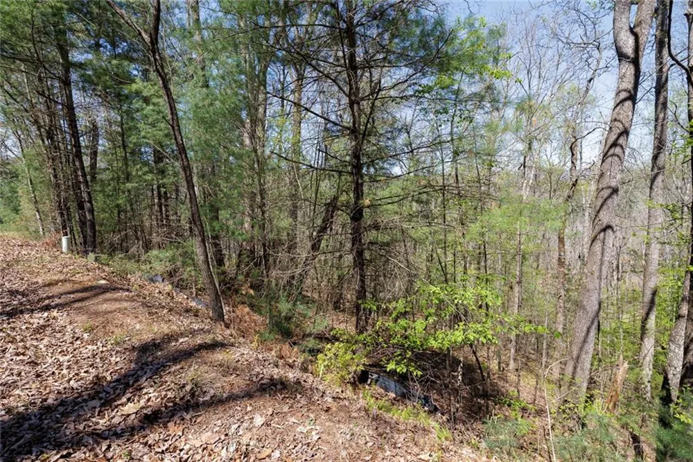 0 Laurel Trail Suches, GA 30572
