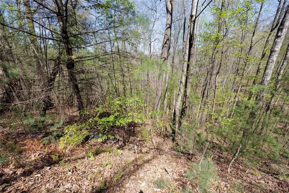 0 Laurel Trail Suches, GA 30572