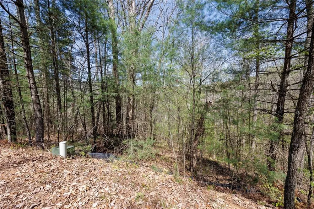 0 Laurel Trail Suches, GA 30572