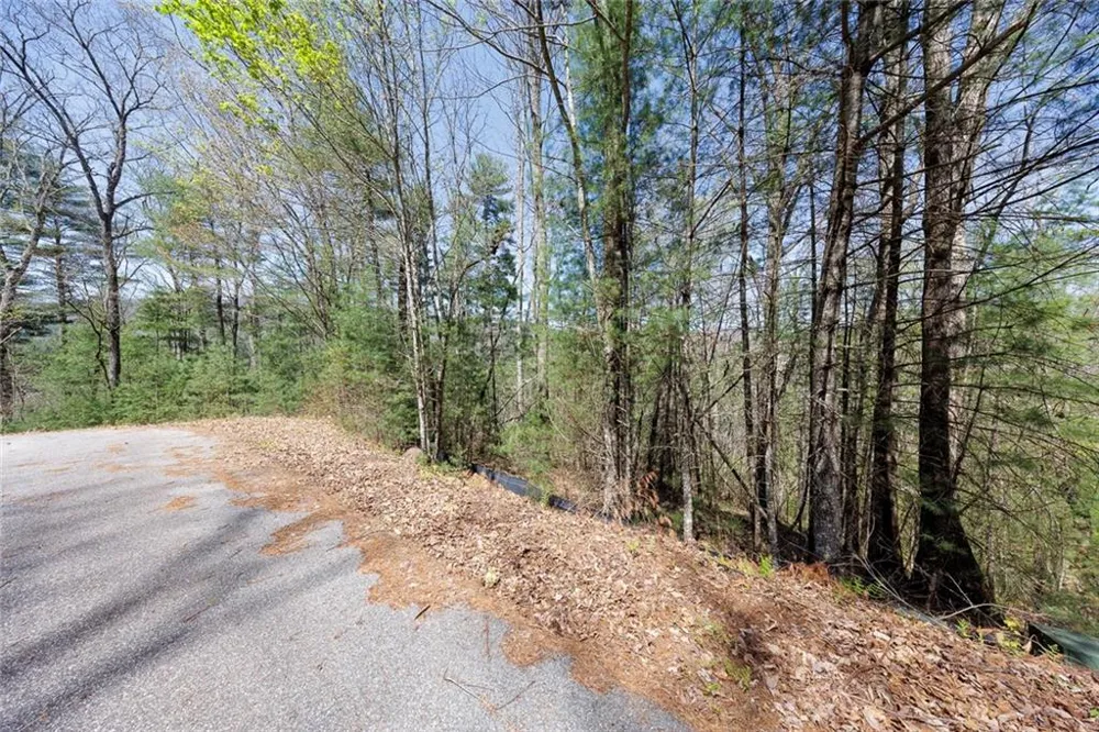 0 Laurel Trail Suches, GA 30572