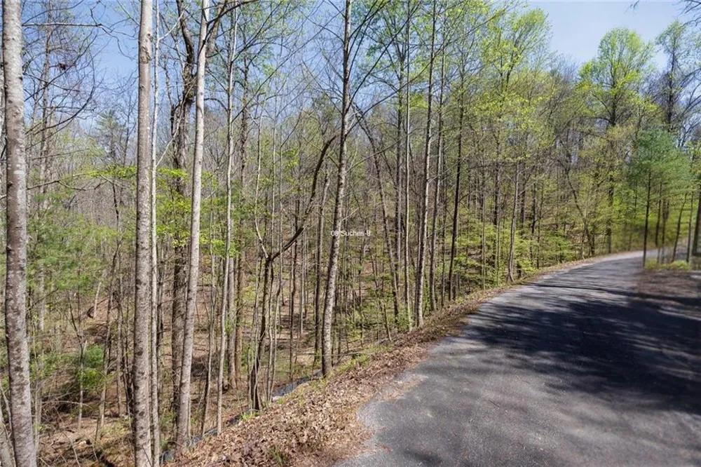 0 Laurel Trail Suches, GA 30572