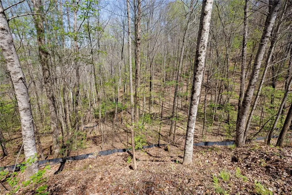 0 Laurel Trail Suches, GA 30572