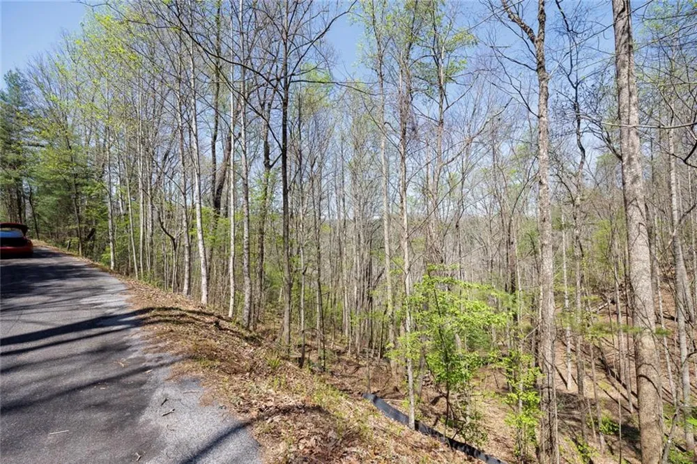 0 Laurel Trail Suches, GA 30572