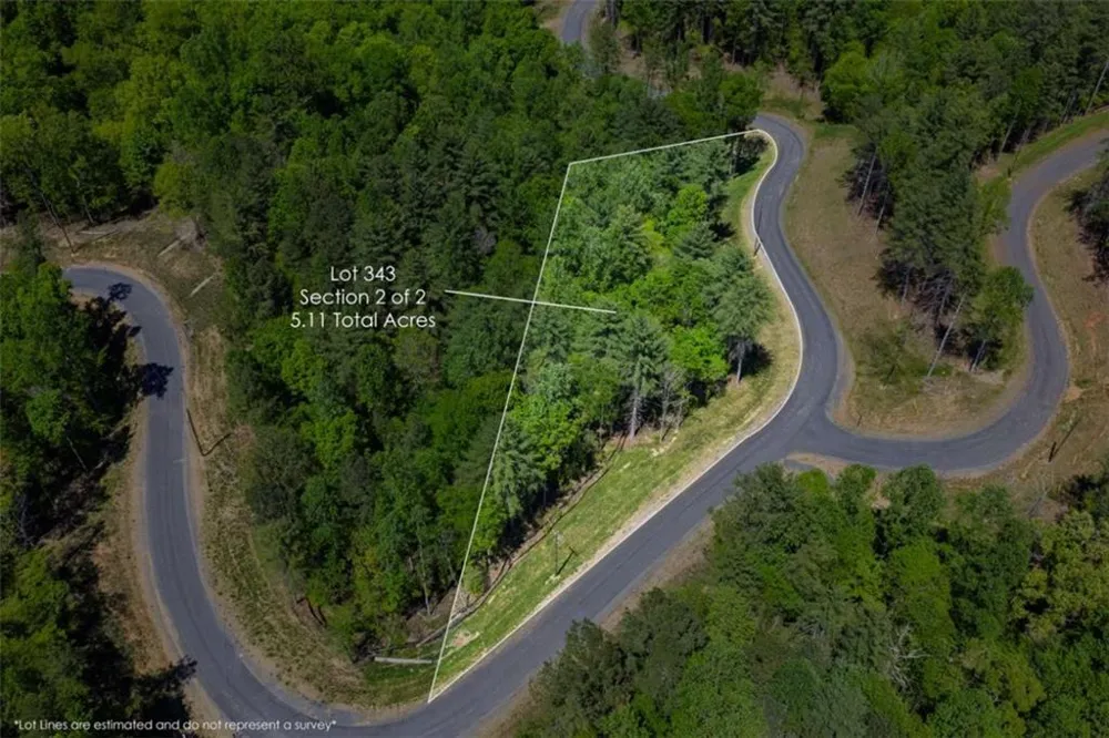LT 343 Shallow Branch Drive Talking Rock, GA 30175