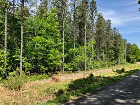 325 Rock Fence Road NW