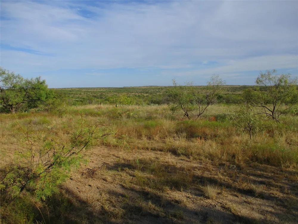 CR 467 No City, TX 76882
