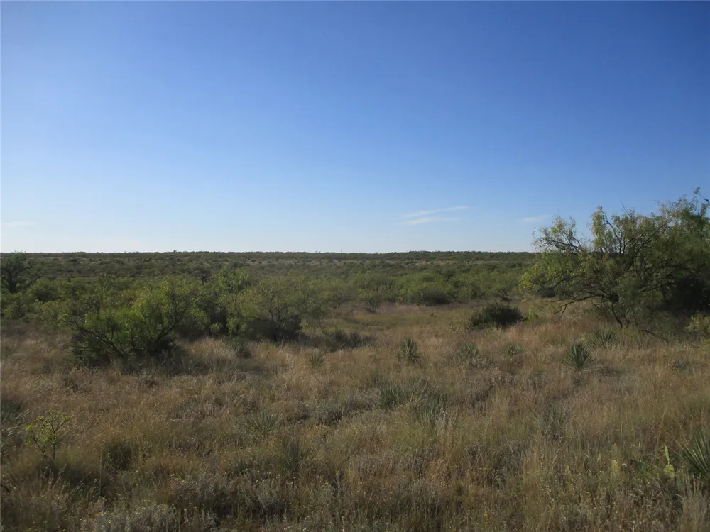 CR 467 No City, TX 76882