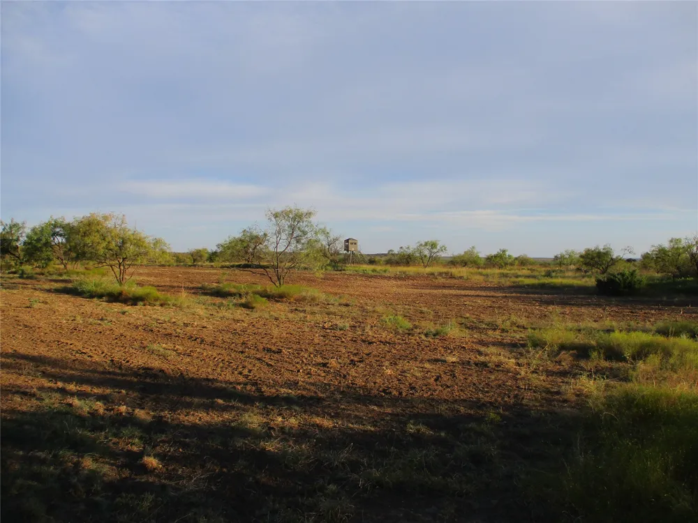CR 467 No City, TX 76882