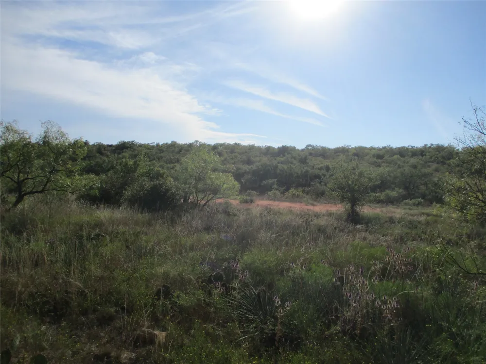 CR 467 No City, TX 76882