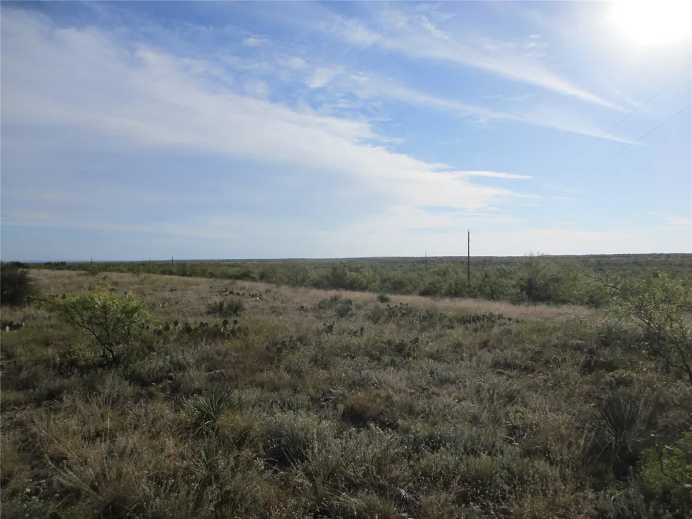 CR 467 No City, TX 76882