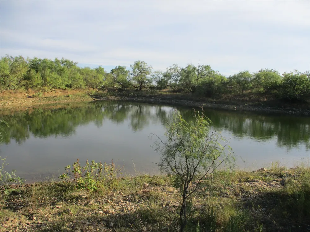 CR 467 No City, TX 76882