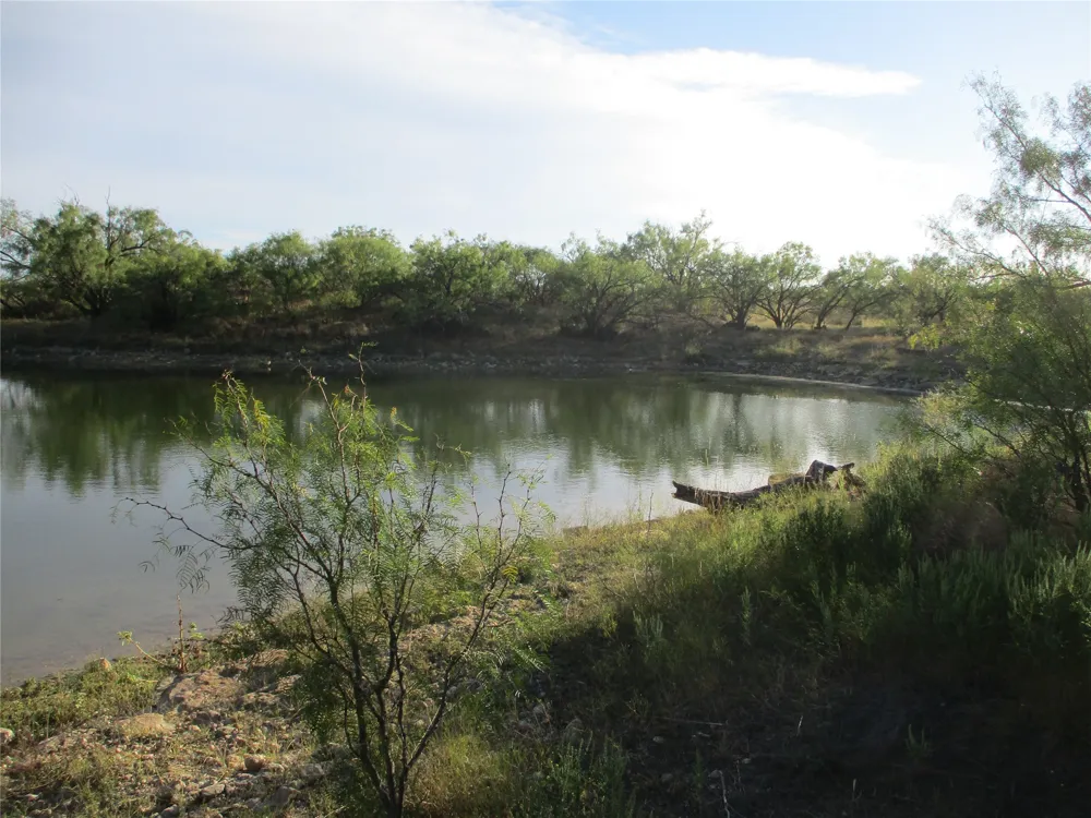 CR 467 No City, TX 76882