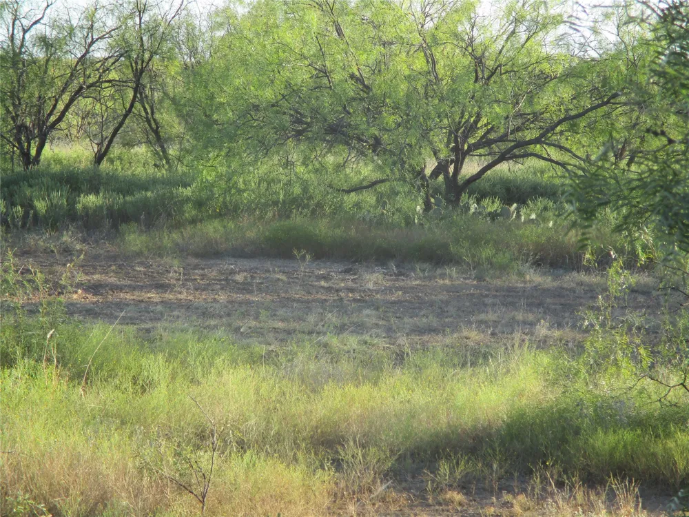 CR 467 No City, TX 76882