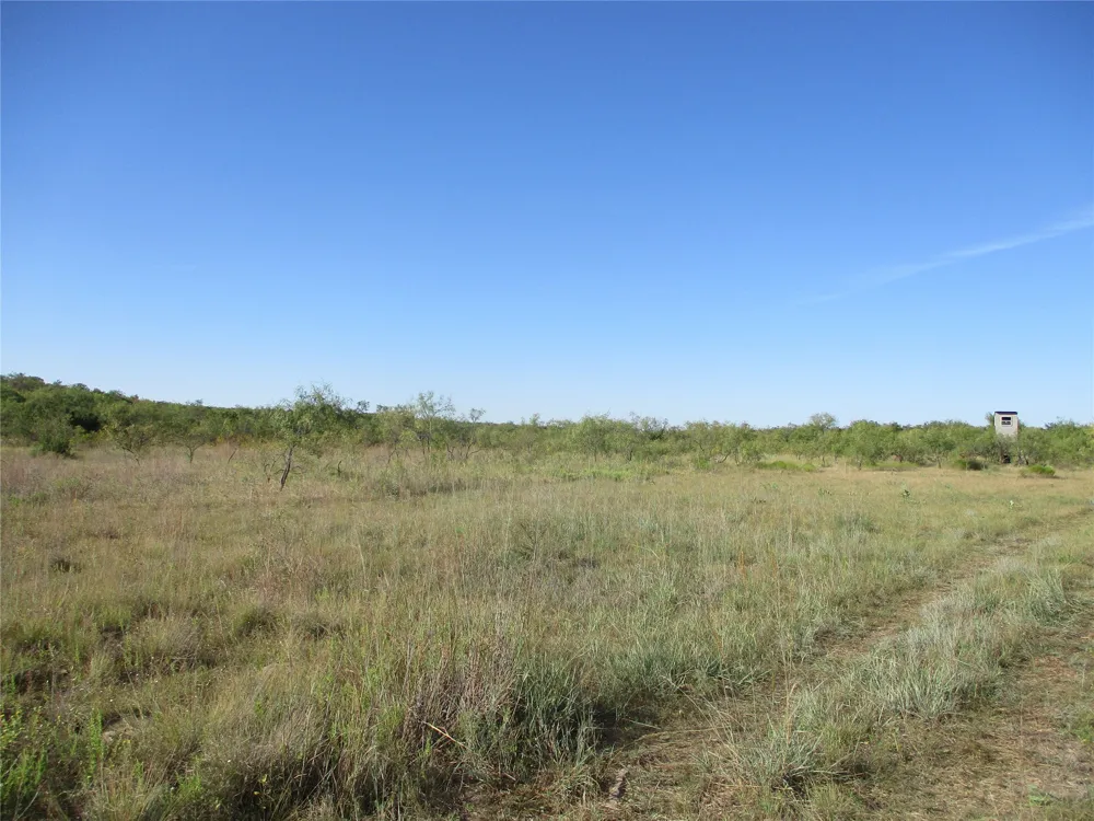 CR 467 No City, TX 76882