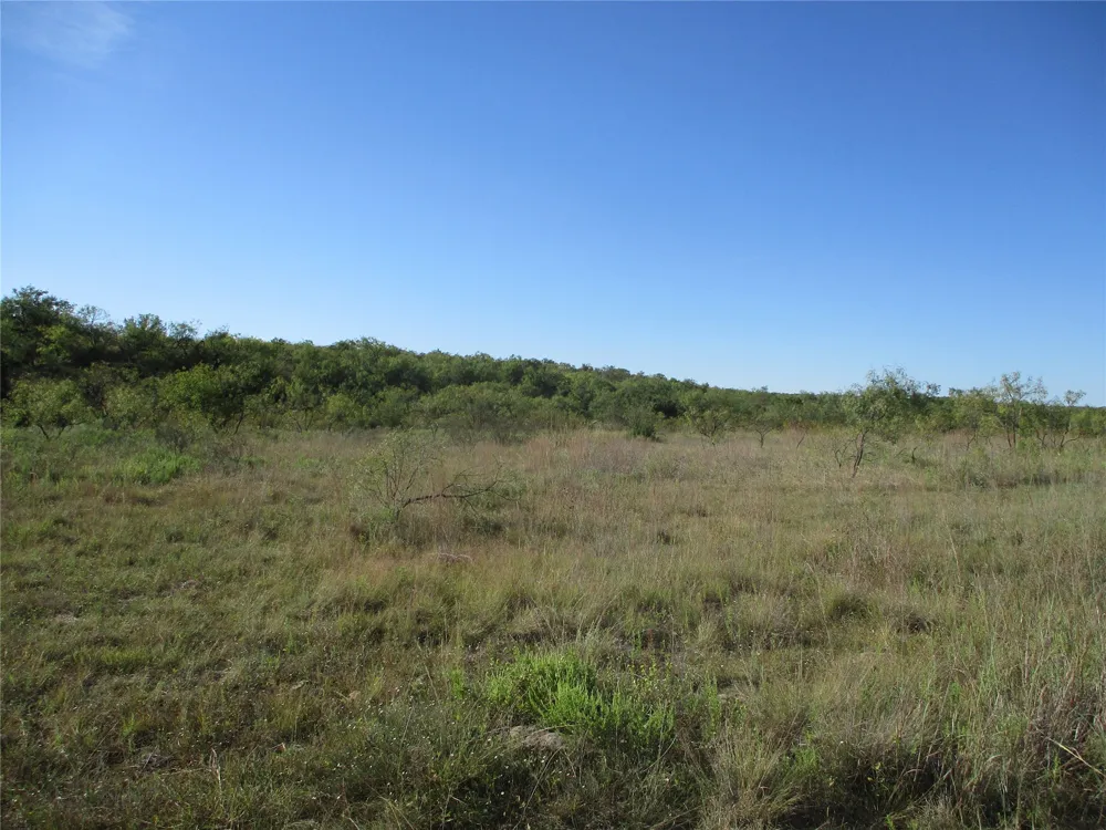 CR 467 No City, TX 76882