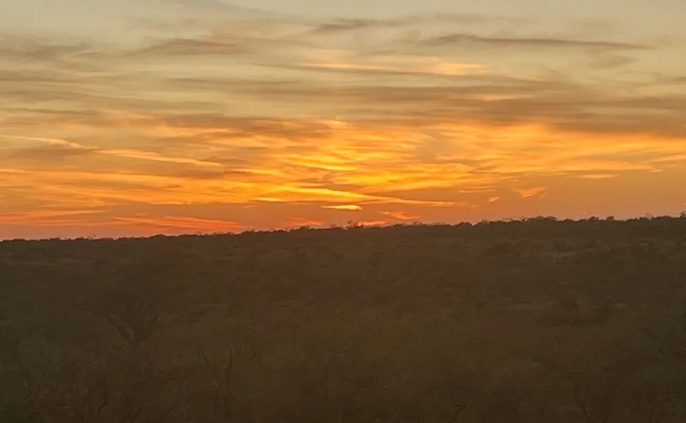 CR 467 No City, TX 76882