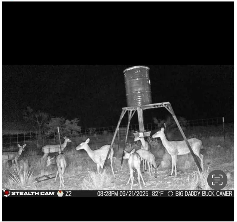 CR 467 No City, TX 76882