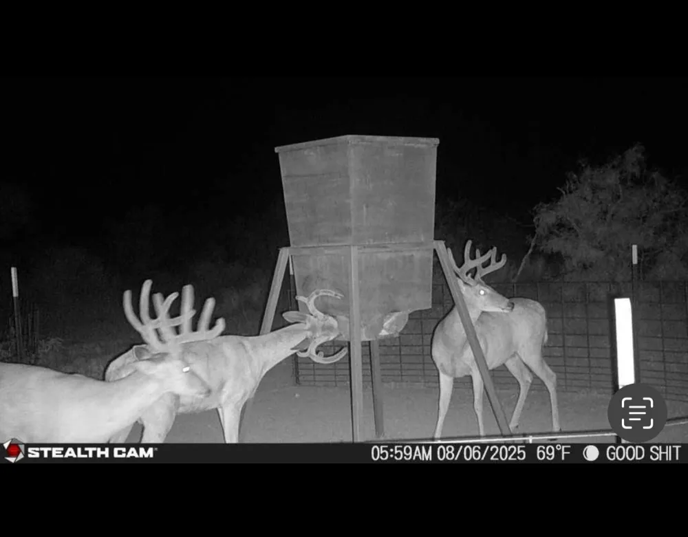 CR 467 No City, TX 76882