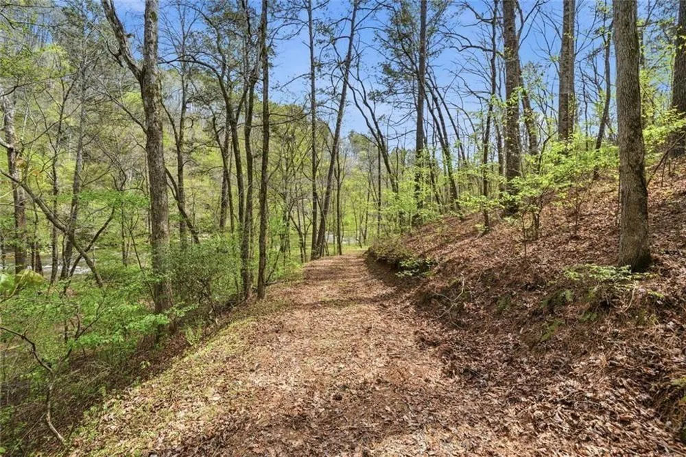 0 Marie Drive Talking Rock, GA 30175