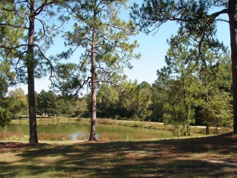 3821 Ga Highway 112 W Ashburn, GA 31714