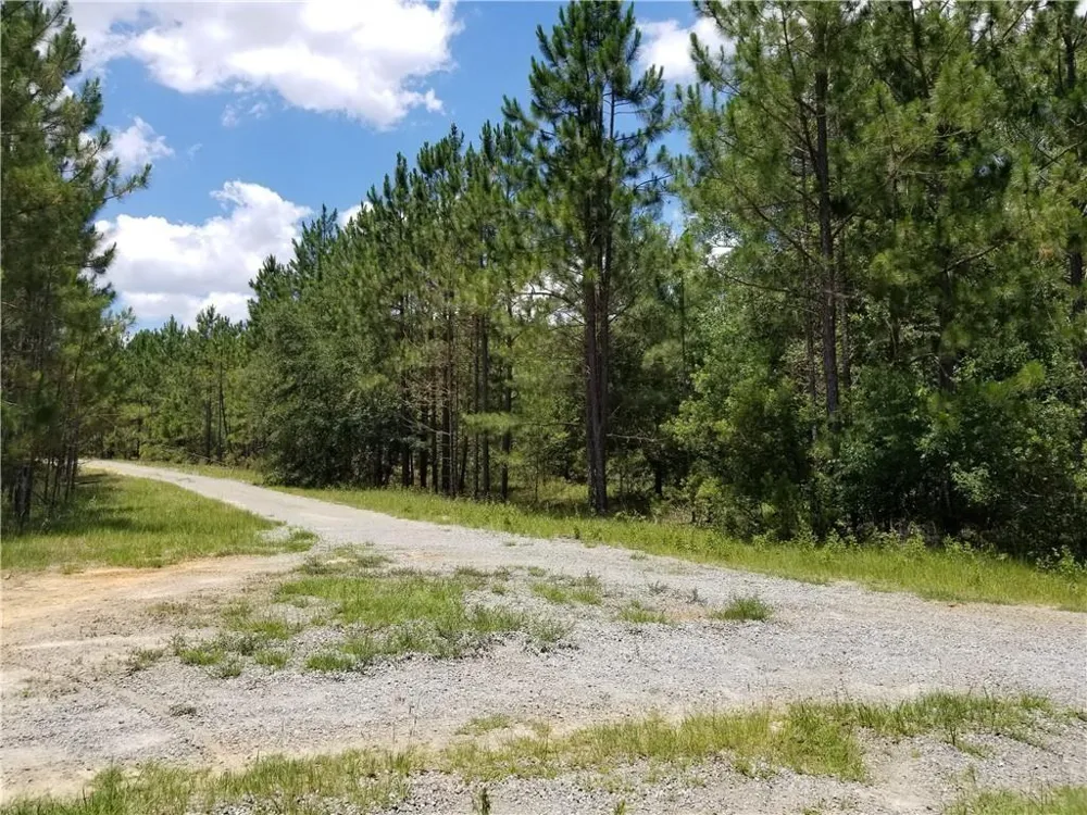 3821 Ga Highway 112 W Ashburn, GA 31714