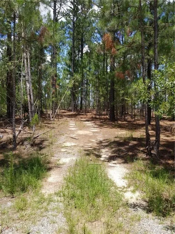 3821 Ga Highway 112 W Ashburn, GA 31714